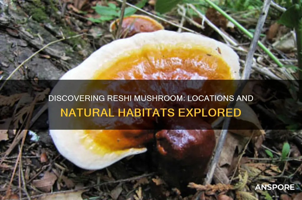 where the reshi mushroom can be found
