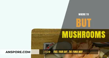 Mushroom Shopping: Where to Buy the Best Varieties