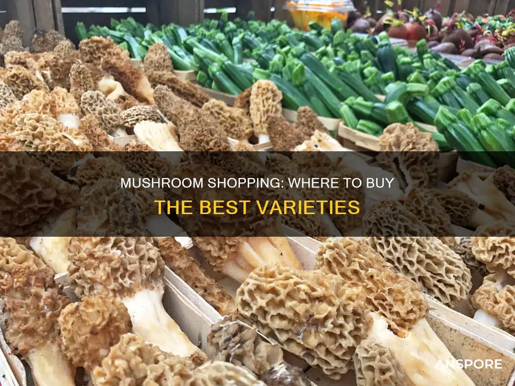 where to but mushrooms