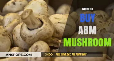 Discover Top Retailers to Buy ABM Mushrooms: A Comprehensive Guide