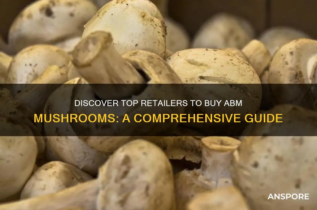 where to buy abm mushroom