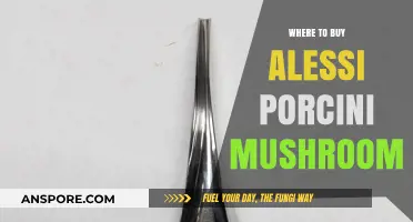 Discover the Best Places to Buy Alessi Porcini Mushrooms Online