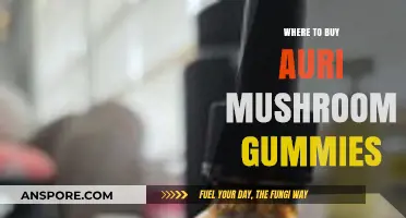 Discover the Best Places to Buy Auri Mushroom Gummies Online
