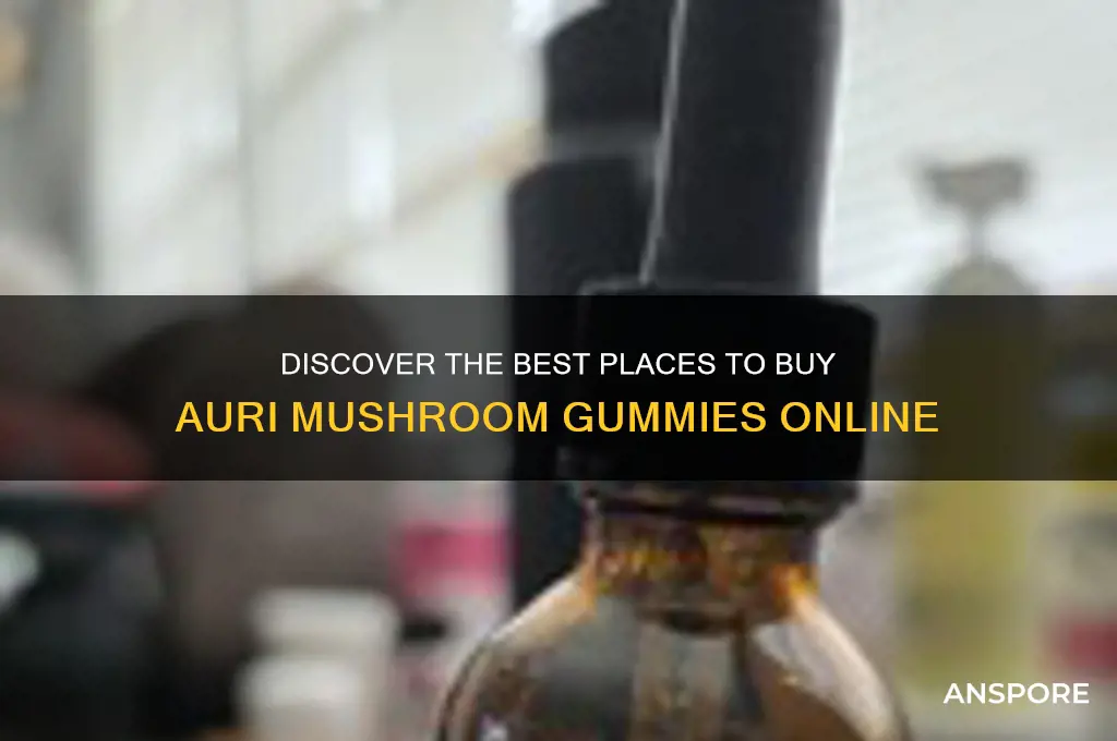 where to buy auri mushroom gummies