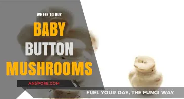 Discover the Best Places to Buy Fresh Baby Button Mushrooms