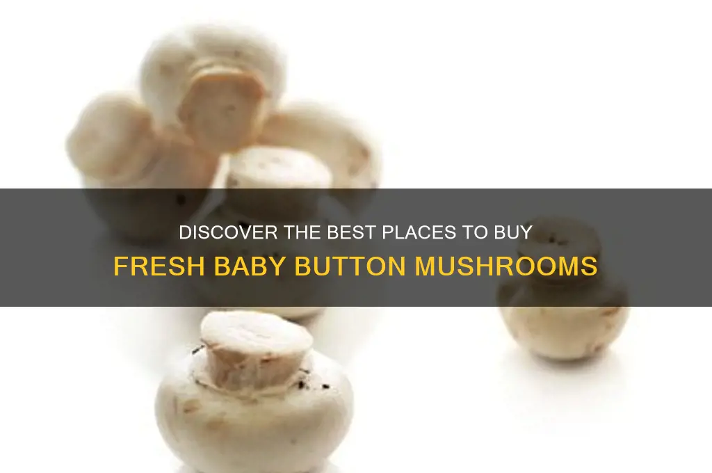 where to buy baby button mushrooms