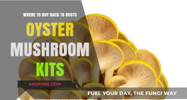 Best Places to Buy Back to Roots Oyster Mushroom Kits