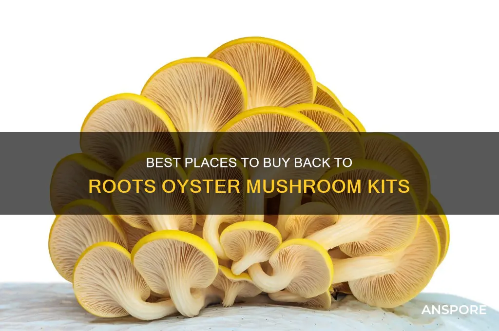where to buy back to roots oyster mushroom kits