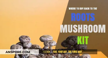 Best Places to Purchase Back to the Roots Mushroom Kits