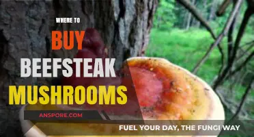 Discover the Best Places to Buy Beefsteak Mushrooms Today