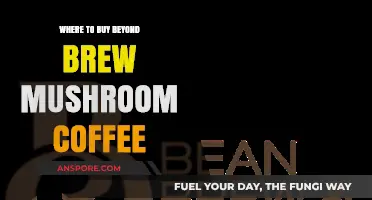 Discover the Best Places to Buy Beyond Brew Mushroom Coffee