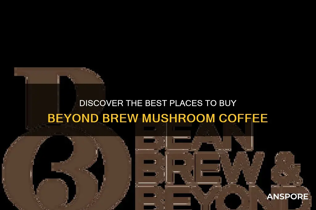 where to buy beyond brew mushroom coffee