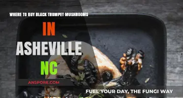 Discover Asheville's Best Spots for Black Trumpet Mushrooms