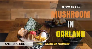 Discover Bliss Mushrooms: Top Oakland Shops for Your Wellness Journey