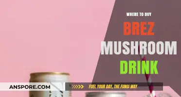 Discover the Best Places to Buy Brez Mushroom Drink Online