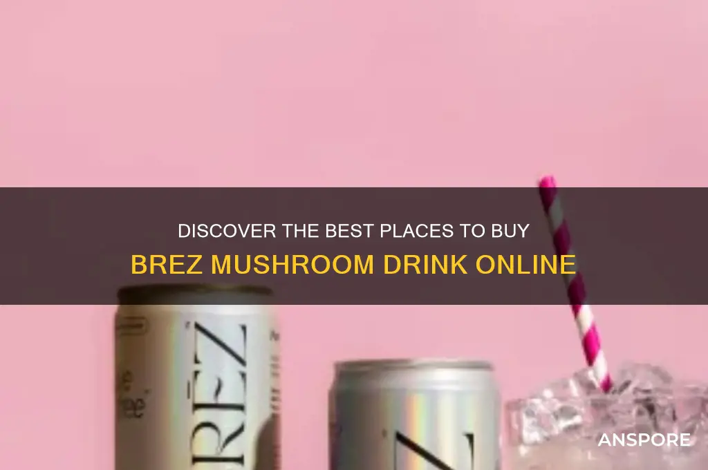 where to buy brez mushroom drink