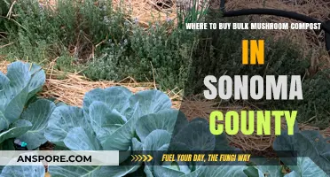 Sonoma County's Top Spots for Bulk Mushroom Compost Purchases