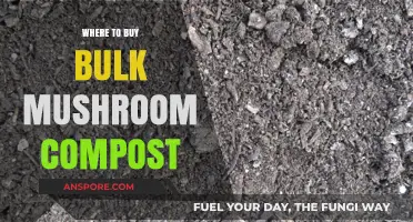 Best Places to Purchase Bulk Mushroom Compost for Gardening Success