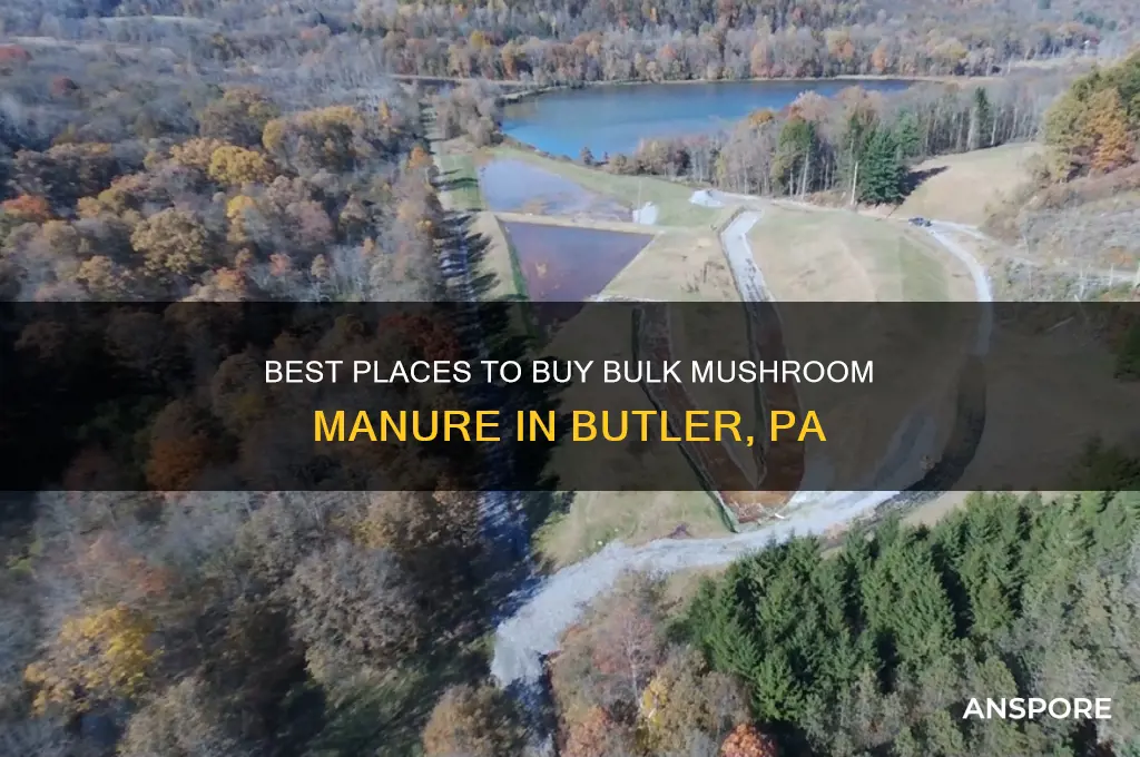 where to buy bulk mushroom manure butler pa