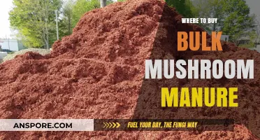 Best Places to Purchase Bulk Mushroom Manure for Gardening Success