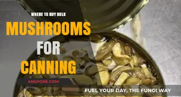 Best Sources for Buying Bulk Mushrooms Perfect for Canning Projects