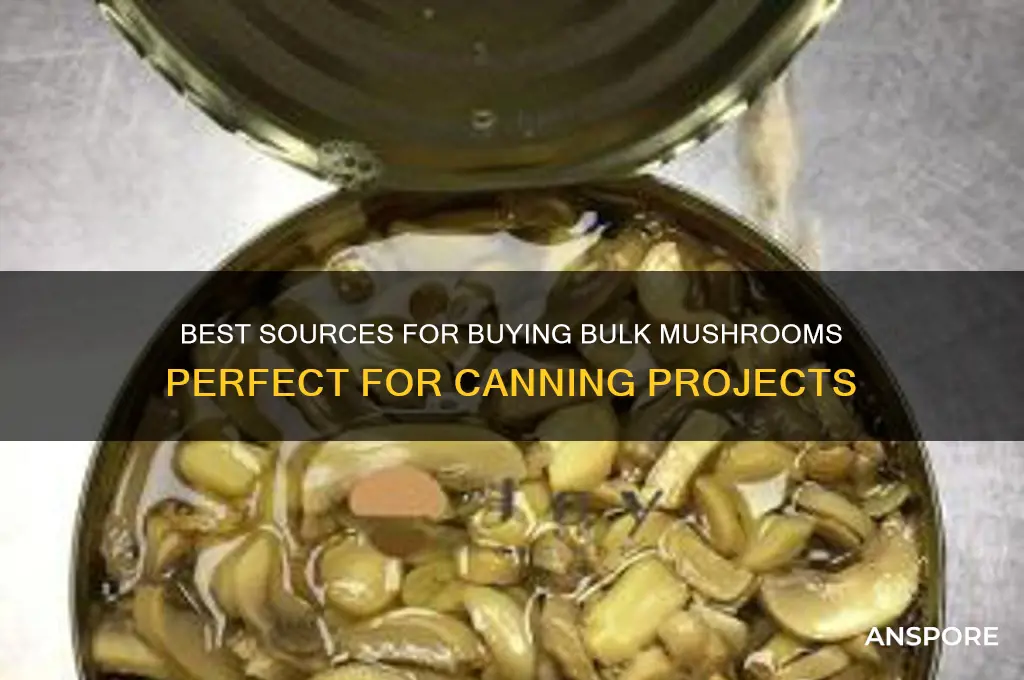 where to buy bulk mushrooms for canning