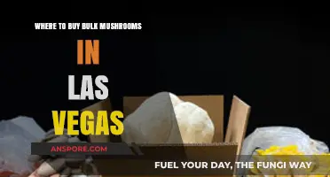 Top Las Vegas Suppliers for Buying Bulk Mushrooms at Great Prices