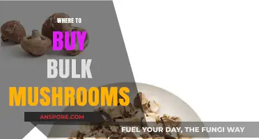 Best Places to Buy Bulk Mushrooms for Quality and Value