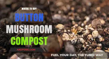Best Places to Purchase Button Mushroom Compost for Gardening Success