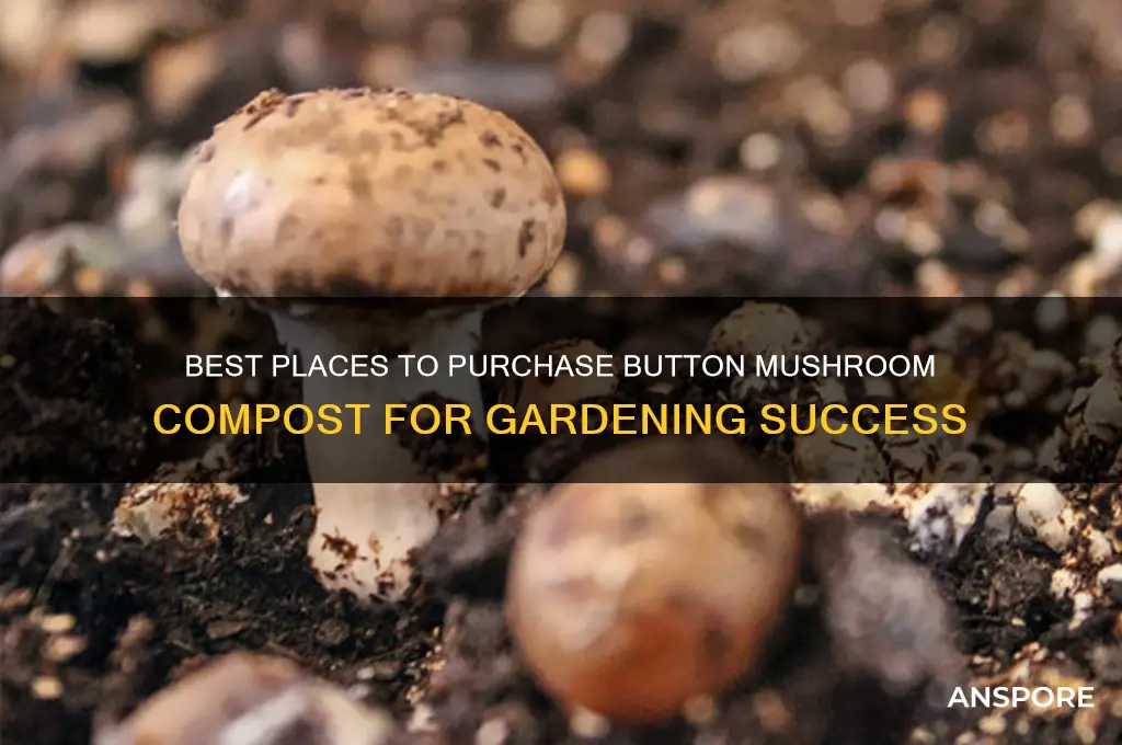 where to buy button mushroom compost