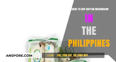 Best Places to Buy Fresh Button Mushrooms in the Philippines