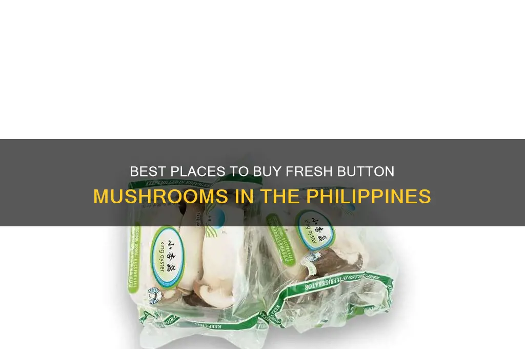 where to buy button mushroom in the philippines