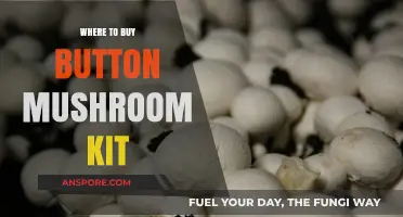 Best Places to Purchase Button Mushroom Growing Kits Online