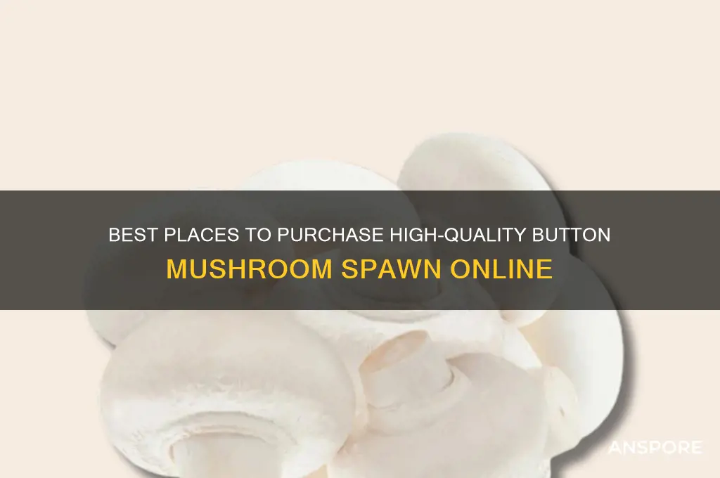 where to buy button mushroom spawn