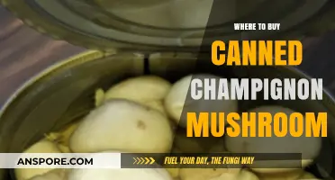 Best Places to Buy Canned Champignon Mushrooms: A Shopper's Guide