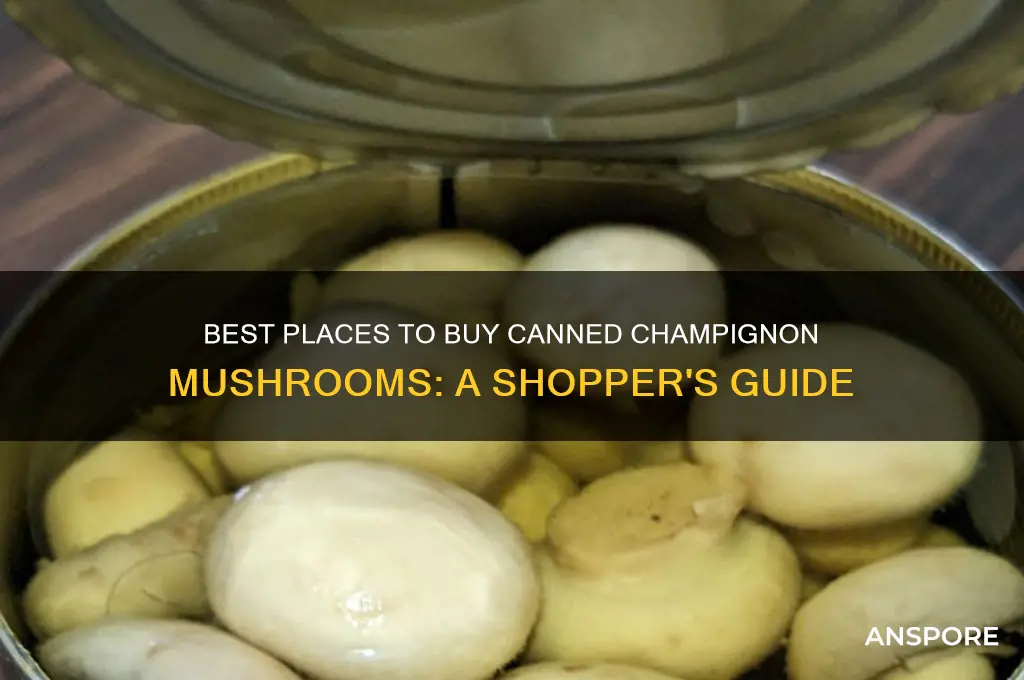 where to buy canned champignon mushrooms