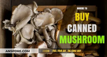 Top Spots to Purchase Canned Mushrooms for Your Pantry