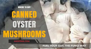 Discover the Best Places to Buy Canned Oyster Mushrooms Online and Locally