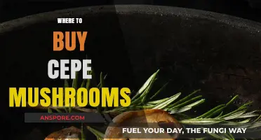 Discover the Best Places to Buy Fresh Cepe Mushrooms