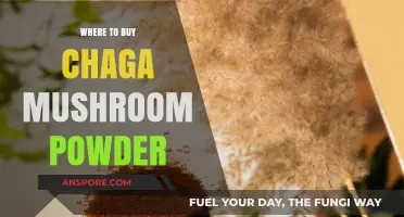 Discover the Best Sources to Buy Chaga Mushroom Powder Online