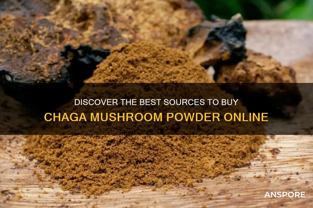 where to buy chaga mushroom powder