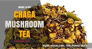 Discover the Best Places to Buy Chaga Mushroom Tea Online