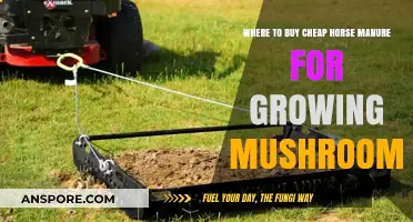 Affordable Horse Manure Sources for Mushroom Cultivation: A Comprehensive Guide