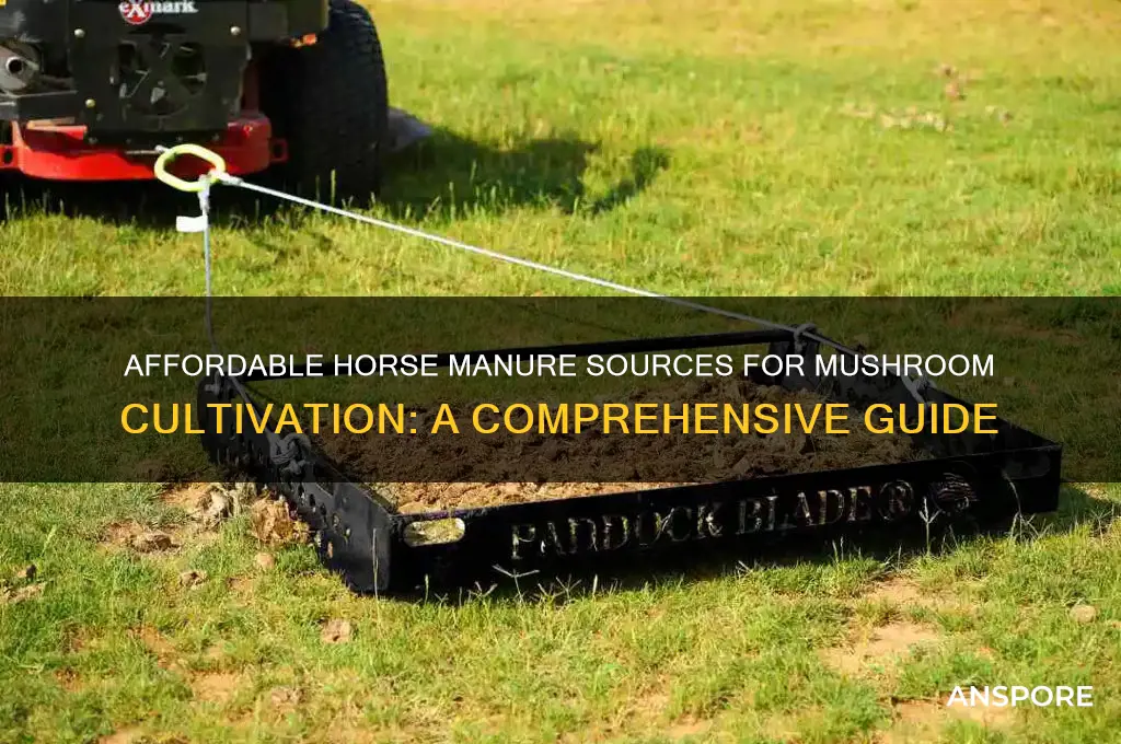 where to buy cheap horse manure for growing mushrooms