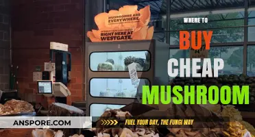 Affordable Mushroom Shopping Guide: Best Places to Buy Cheap Mushrooms