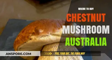 Discover Top Spots to Buy Chestnut Mushrooms in Australia