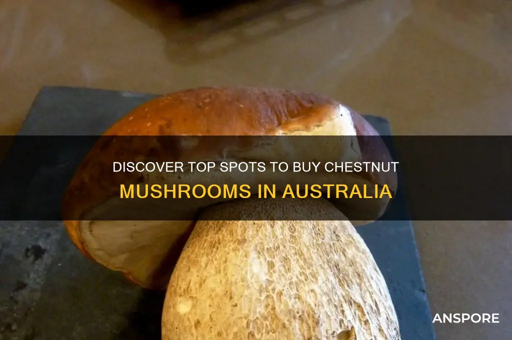 where to buy chestnut mushrooms australia