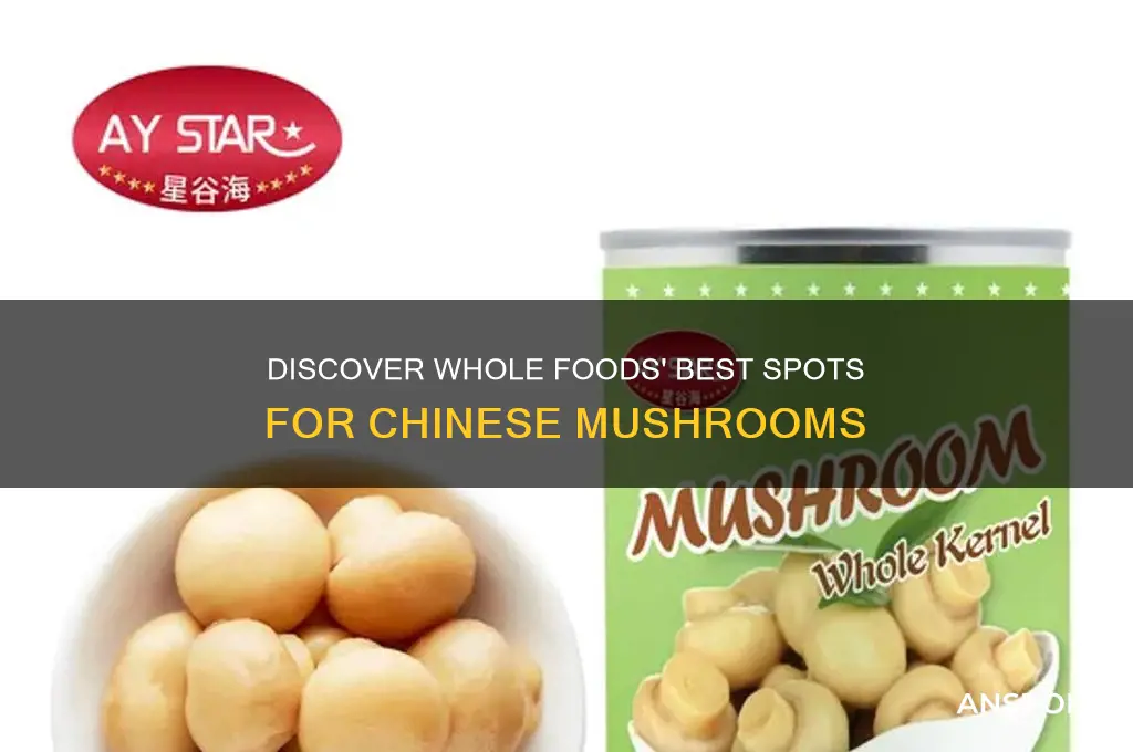 where to buy chinese mushrooms whole foods