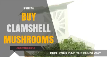 Discover the Best Places to Buy Fresh Clamshell Mushrooms