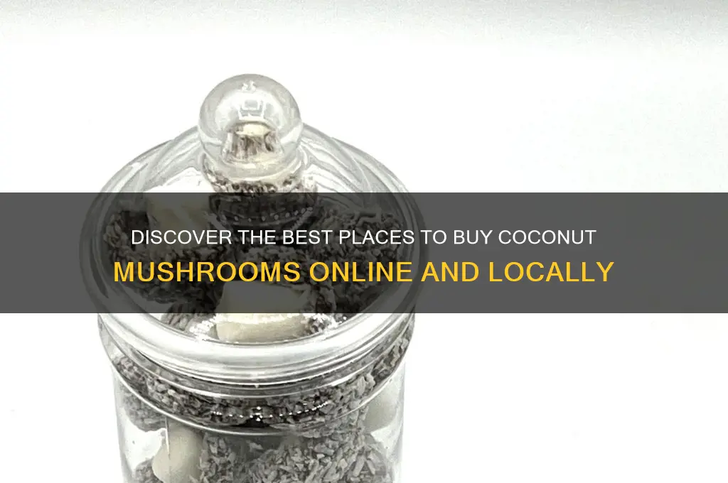 where to buy coconut mushrooms